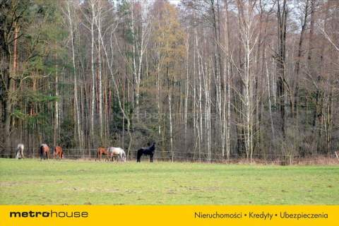 Działka budowlana w atrakcyjnej lokalizacji.