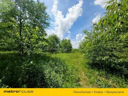 Działka dla inwestora Spalice 6748m2 5 działek