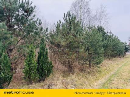 BUDY WOLSKIE - działka budowlana 5098 m2
