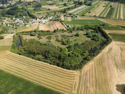 Działka inwestycyjna 6,5 ha