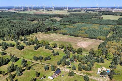 Okolica jeziora Dołgie i kompleksów leśnych.