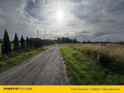 Działka na sprzedaż, 6100 m2, Czernin
