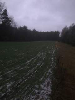 Działka budowlana z drogą o pow. łącznej 5900 m Saczyn