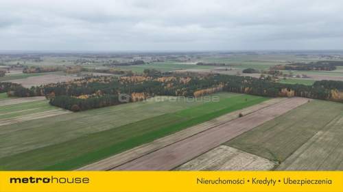 Działka siedliskowa w atrakcyjnej cenie