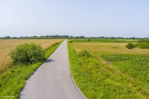Sprzedam działkę rolną Kwików 36 ar.