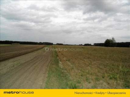 DZIAŁKA 1,12 HA -OLSZA POW. ŚREMSKI, W BUDOWLANA