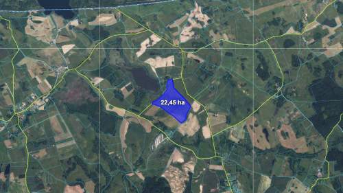 Działka z Warunkami Zabudowy 22,45 ha Żabin, gm. Banie Mazurskie