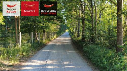 DZIAŁKA ROLNA W SPOKOJNEJ OKOLICY 2000M2