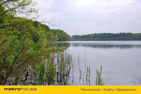 Działka siedliskowa na sprzedaż, 8000 m2, Pąchy