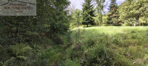 Działka budowlana na sprzedaż, 8200 m2, Babica