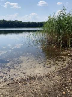 Sprzedam działki nad jeziorem