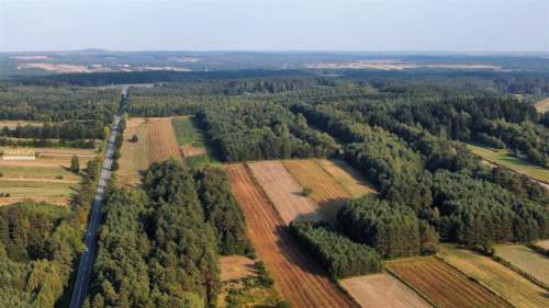 Działki rolne 2,05 ha i leśna 0,43 ha Długi Kąt