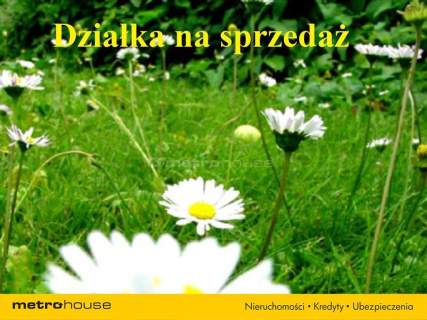 Szanowni Państwo. Mam przyjemność zaoferować