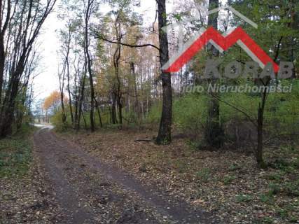 Działka 60 km od Warszawy