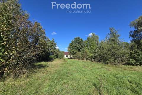Urokliwe siedlisko nad Bugiem Derło, gm. Rokitno