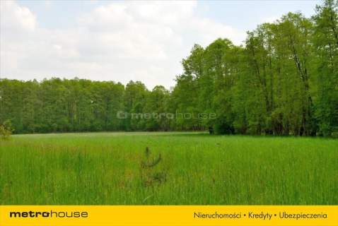 Działka siedliskowa na sprzedaż, 7100 m2, Pąchy