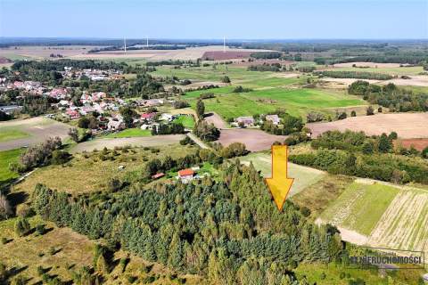 Duże działki w Krosinie, ok. 60 km od morza.