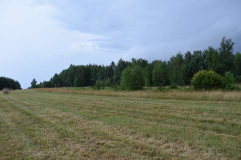 Działki budowlane 39a w Budach Głogowskich