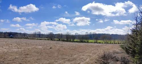 Działki w Grabowcu k. Szemuda