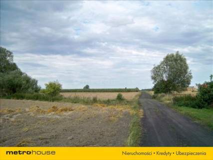 Działka budowlana na sprzedaż, 950 m2, Szewce