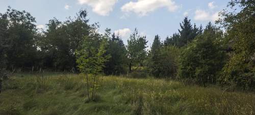 Nowe Grochale- ładna działka budowlana przy Wiśle
