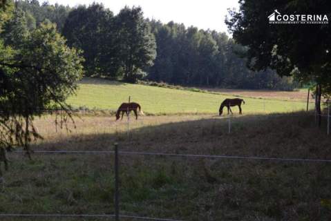 Dom letniskowy blisko jeziora Gołubie, Kaszuby