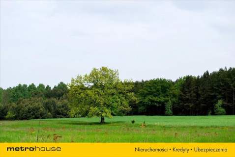 Działka budowlana na sprzedaż, 10300 m2, Pąchy