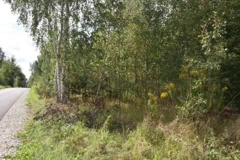 Działka budowlana na sprzedaż, 10100 m2, Lisowola