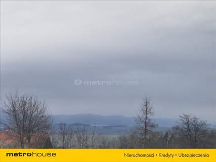 Działa z pięknym widokiem na góry.