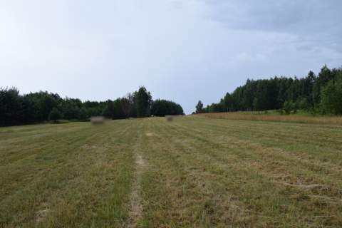 Działki budowlane 39a w Budach Głogowskich