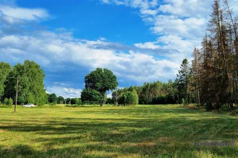 Działki budowlane położone pod lasem.