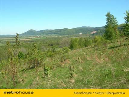 Działka rolna na sprzedaż, 1318700 m2, Bystrzyca Kłodzka