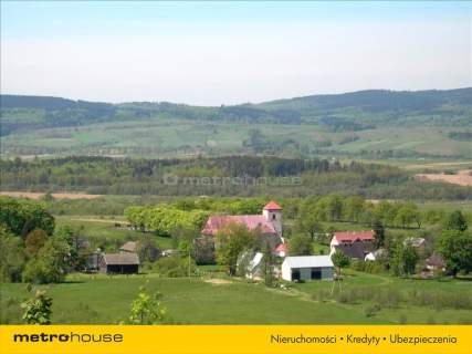 Działka rolna na sprzedaż, 3199190 m2, Bystrzyca Kłodzka