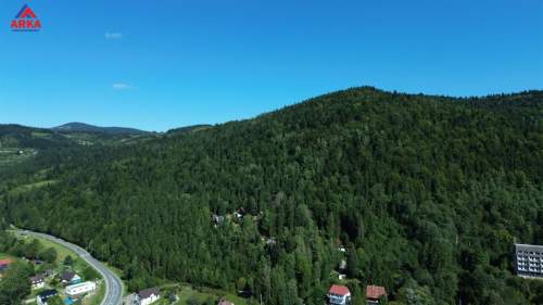2ha starego lasu w jednym kawałku