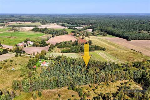 Duże działki w Krosinie, ok. 60 km od morza.
