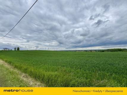 Spokój, przestrzeń i brak sąsiadów 