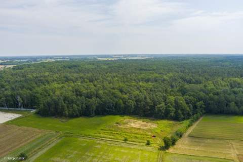 Działka leśna- Narożniki- Radgoszcz