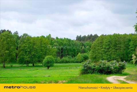 Działka siedliskowa na sprzedaż, 7100 m2, Pąchy