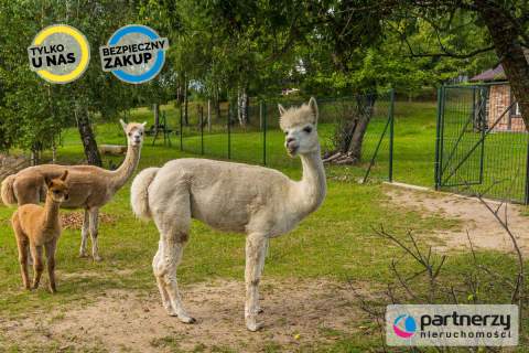 Gospodarstwo agroturystyczne na Kaszubach