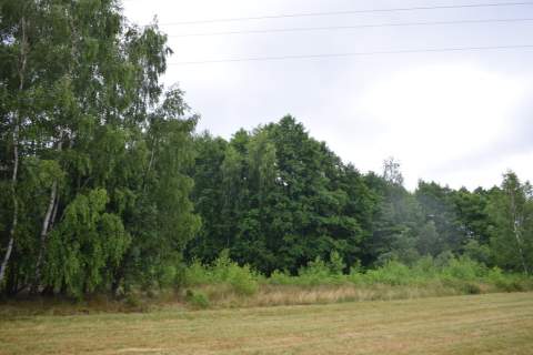 Działki budowlane 39a w Budach Głogowskich