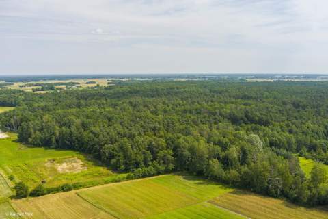 Działka leśna- Narożniki- Radgoszcz