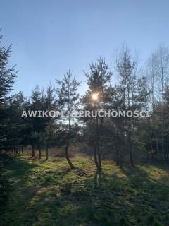 Mszczonów, Adamowice