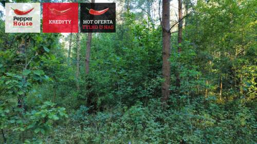 DZIAŁKA ROLNA W SPOKOJNEJ OKOLICY 2000M2