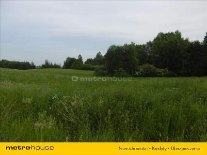Działka ok. 2 ha, w odległości 25 km. od Olsztyna.