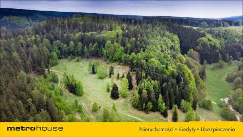 DZIAŁKA DUSZNIKI PODGÓRZE - 2000 m2 NA SPRZEDAŻ
