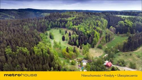 DZIAŁKA DUSZNIKI PODGÓRZE - 2000 m2 NA SPRZEDAŻ