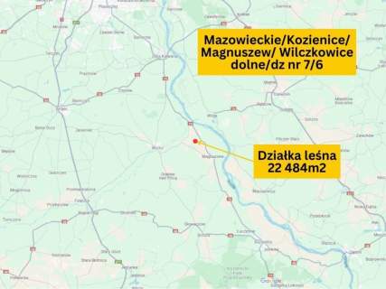 Działka leśna 22 484 m godzina od Warszawy