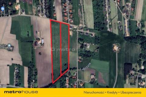 Krzywiec 52000 m2 gm. Aleksandrów Łódzki