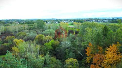 Działka budowlana 30ar gm. Żyraków