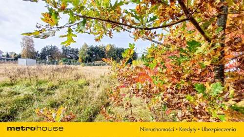 Działka 1246 m2, na sprzedaż - Nieżywięć.